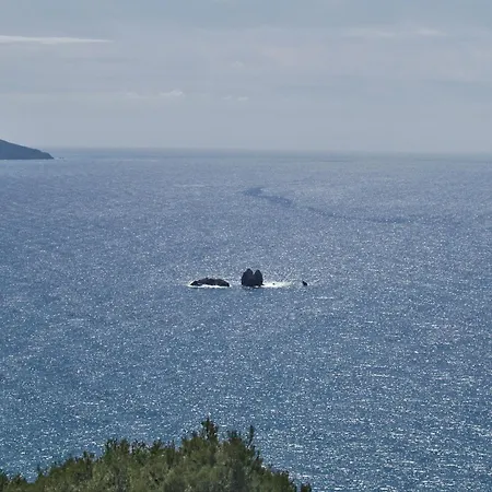 Large By The Pool - Beach, Corfu Apartment